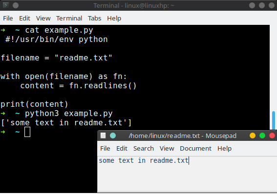 python read file