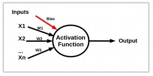 a perceptron, basis of neural network