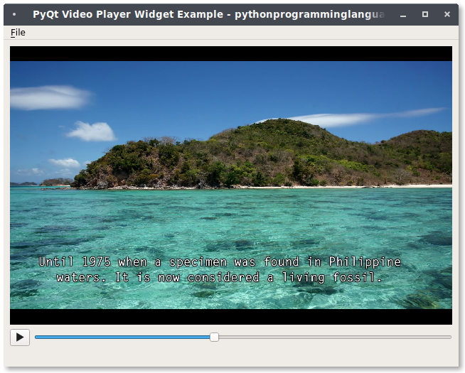 pyqt video player